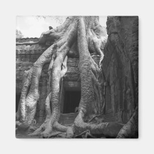 Imán Siem Reap, Camboya. Justo fuera de Siem Reap,