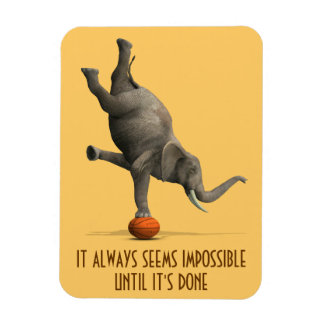 Imán Siempre parece imposible hasta que se hace