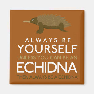 Imán Siempre Sé Tú Mismo A Menos Que Puedas Ser Echidna