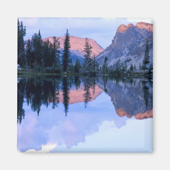 Imán Sierra Dentada, Idaho. EE. UU. Cúmulo (Frente)