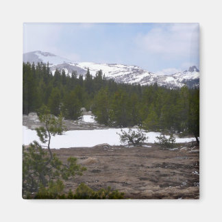 Imán Sierra Nevada y nieve en Yosemite