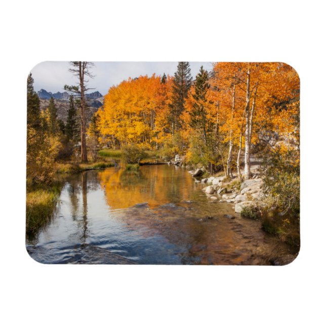 Imán Sierra Oriental, Bishop Creek, California Outlet (Horizontal)