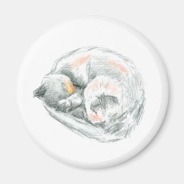 Imán Siesta de Gato (Frente)