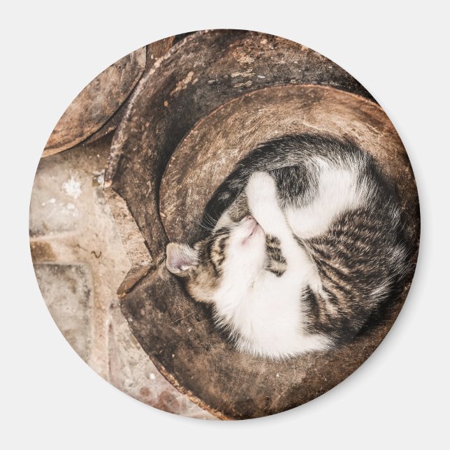 Imán Siesta del gato (Frente)