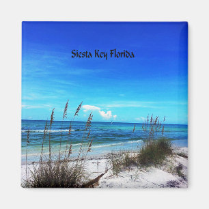 Imán Siesta Key de 2 pulgadas
