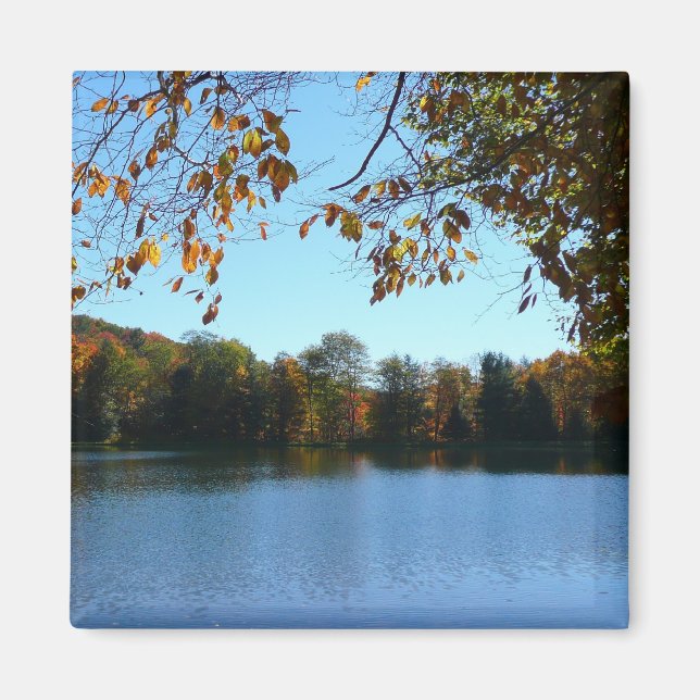 Imán Siete manantiales caen árboles y estanques (Frente)