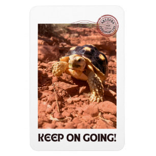 Imán Sigue adelante con la tortuga Inspiradora de estaf