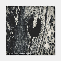 "Sigue tu corazón" Magnet