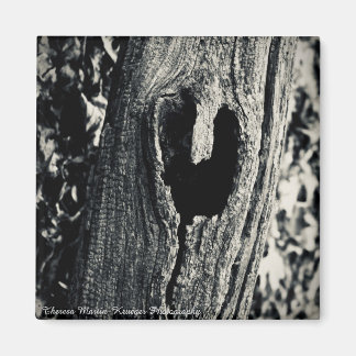 Imán "Sigue tu corazón" Magnet