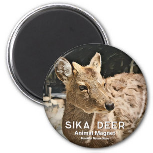 Imán Sika Deer