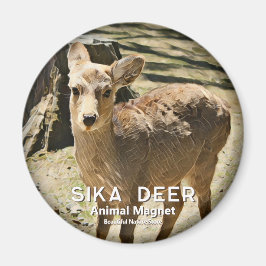 Imán Sika Deer マ グ ネ ト