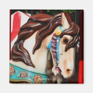 Imán silencioso de la fotografía del caballo del