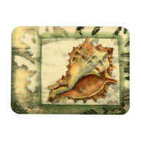 Silhouette Conch Shell