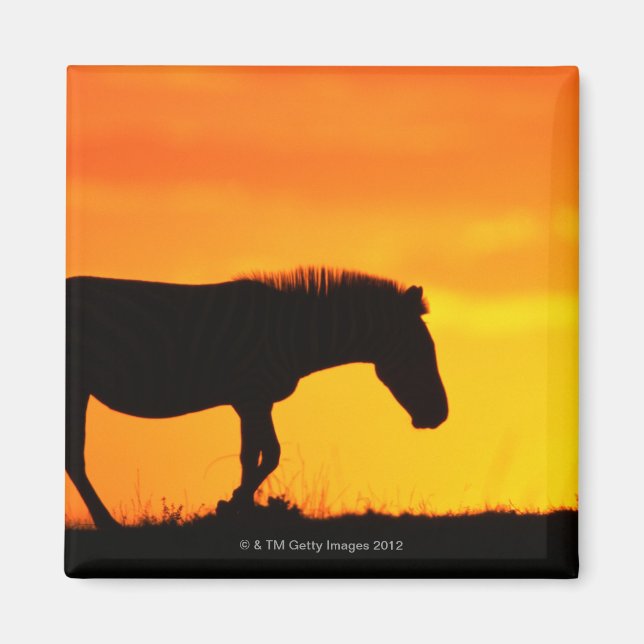 Imán Silhouette de cebra sobre sabana (Frente)