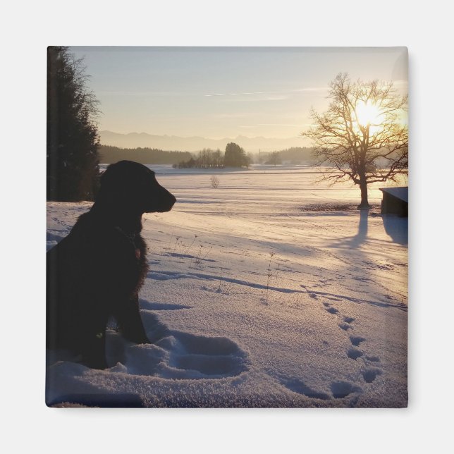 Imán Silhouette de perro en el paisaje de Snowy (Frente)