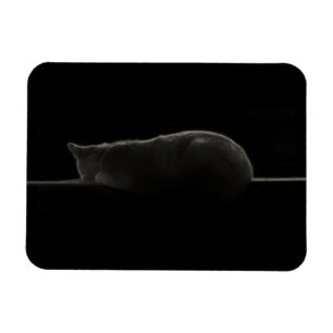 Imán Silhouette Sleeping Cat