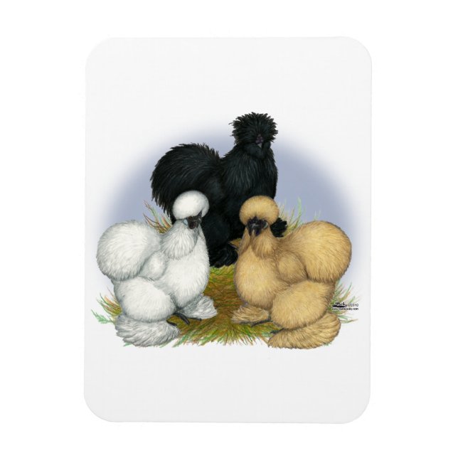 Imán Silkie Trio (Vertical)
