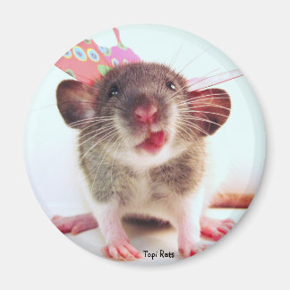 Imán Silly Flutterby Rat
