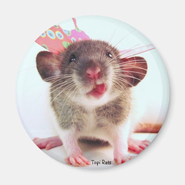 Imán Silly Flutterby Rat (Frente)