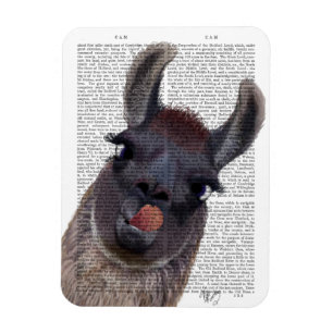 Imán Silly Llama