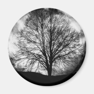 Imán Silueta de árbol frente a una luna llena