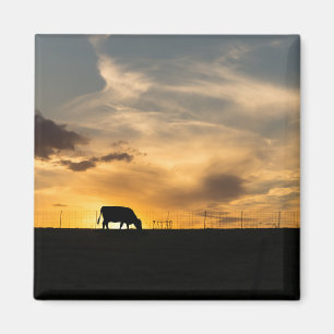 Imán Silueta de ganado al atardecer
