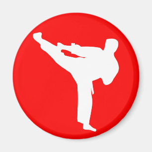 Imán silueta de los artes marciales