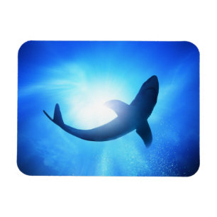 Imán Silueta de tiburón oceánico profundo