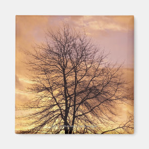 Imán Silueta de un árbol con cielo rosa y Naranja
