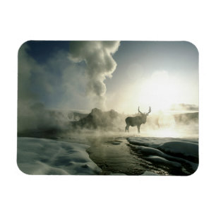 Imán Silueta del amanecer de alce en Castle Geyser
