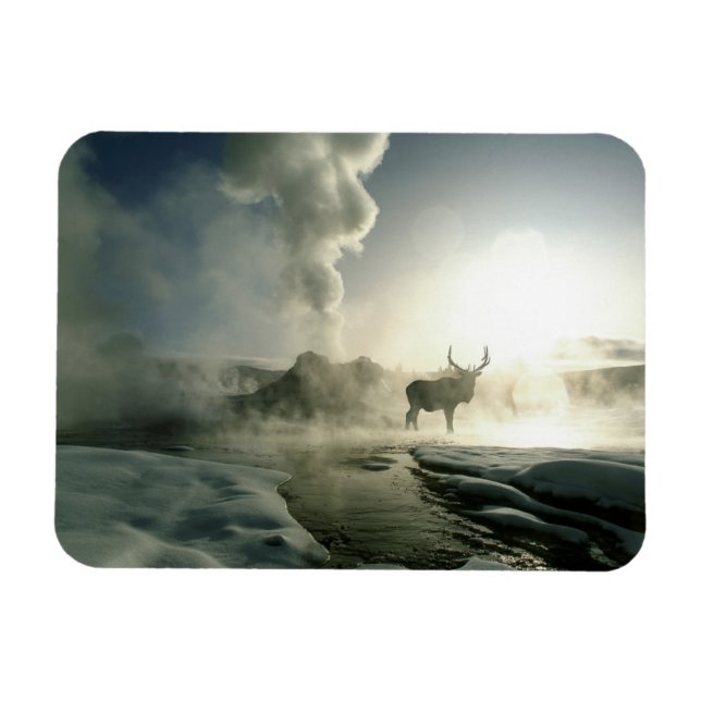 Imán Silueta del amanecer de alce en Castle Geyser (Horizontal)