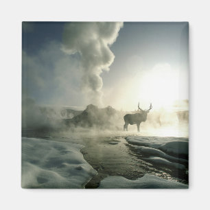 Imán Silueta del amanecer de alces en Castle Geyser