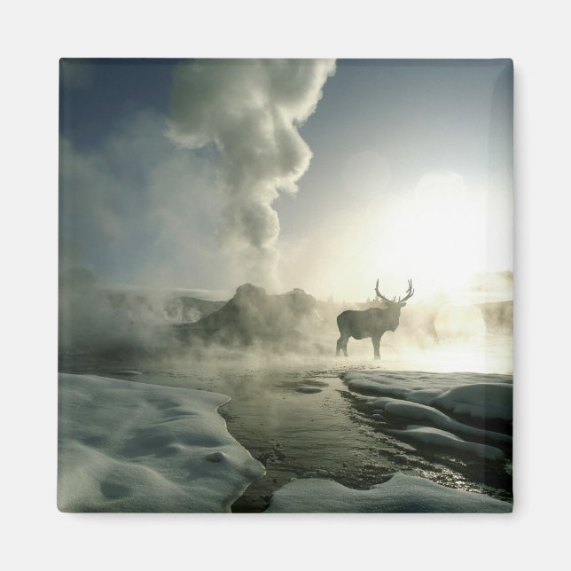 Imán Silueta del amanecer de alces en Castle Geyser (Frente)