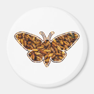 Imán Silueta del ciclo vital de la polilla de seda de