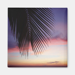 Imán Silueta tropical de la palmera de la playa púrpura