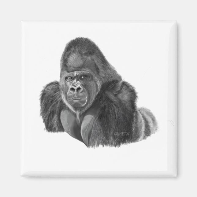 Imán Silverback Gorilla Magnet ゴリラのマグネット (Frente)