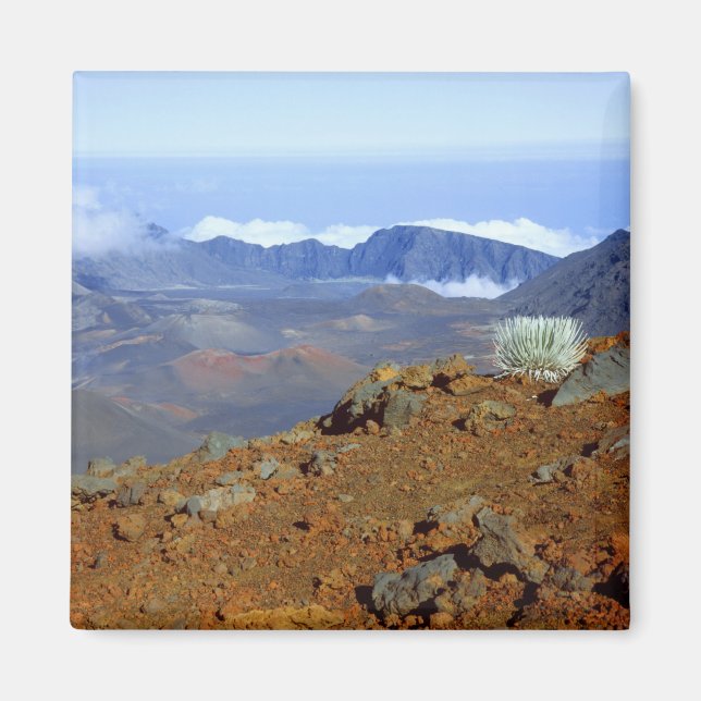 Imán Silversword en el borde del cráter Haleakala desde (Frente)