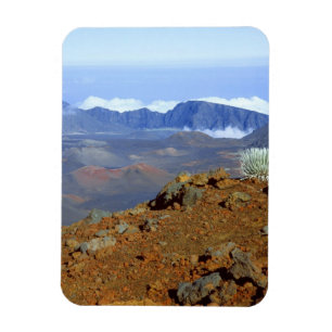 Imán Silversword en el borde del cráter Haleakala desde