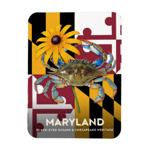 Imán Símbolos de Maryland de la Susana de Ojos Negros y