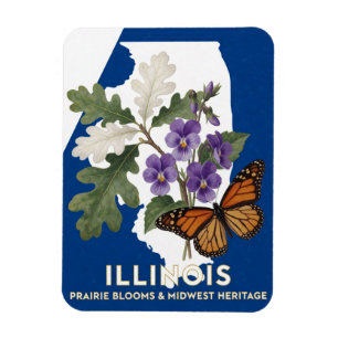 Imán Símbolos de Violeta y Mariposa Monarca de Illinois