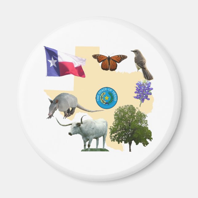 Imán Símbolos del Estado de Texas (Frente)