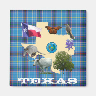 Imán Símbolos del Estado de Texas