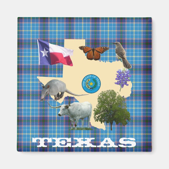 Imán Símbolos del Estado de Texas (Frente)