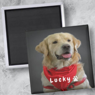 Imán Simple and elegant pet photo Dog Lover 