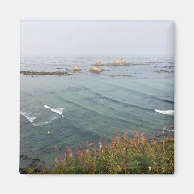 Imán Simpson Reef Overlook, Costa de Oregón (Frente)