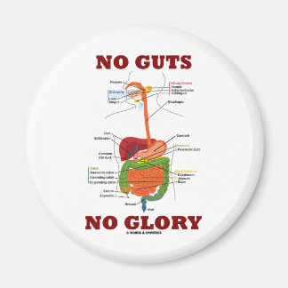 Imán Sin Ganas Sin Gloria (Humor De Anatomía Del Sistem