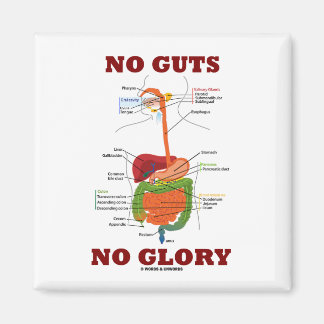 Imán Sin Ganas Sin Gloria (Humor De Anatomía Del Sistem