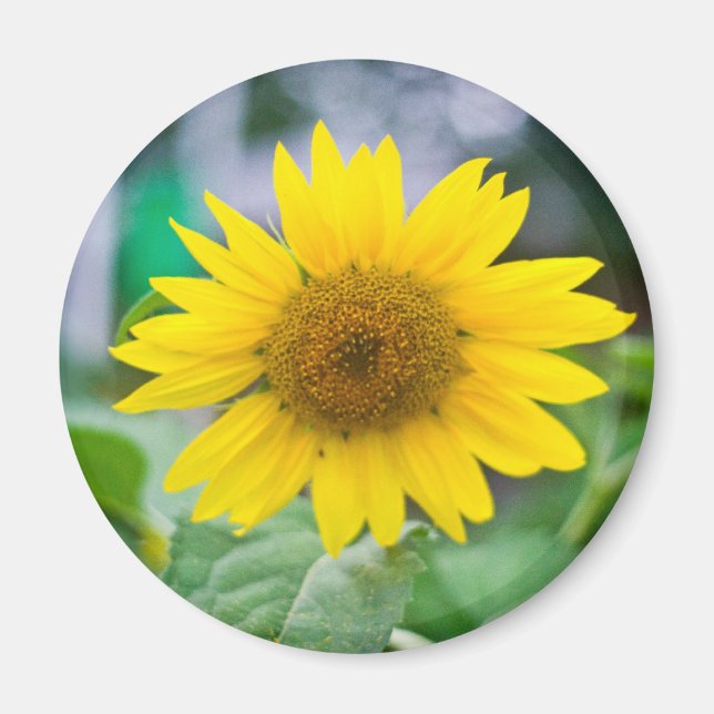 Imán sin título (Frente)