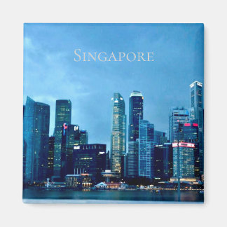 Imán Singapore Magnet 