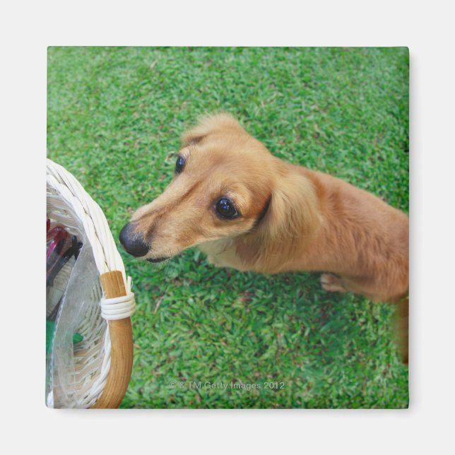 Imán Singapur 2 (Frente)